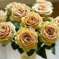 Teddy's Rose
