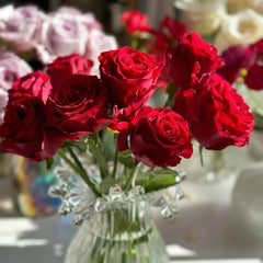 Amada Rose