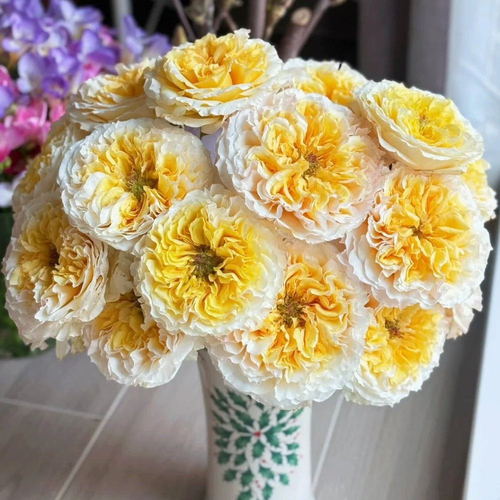 Beatrice rose large bouquet in decorative vase with white outer petals