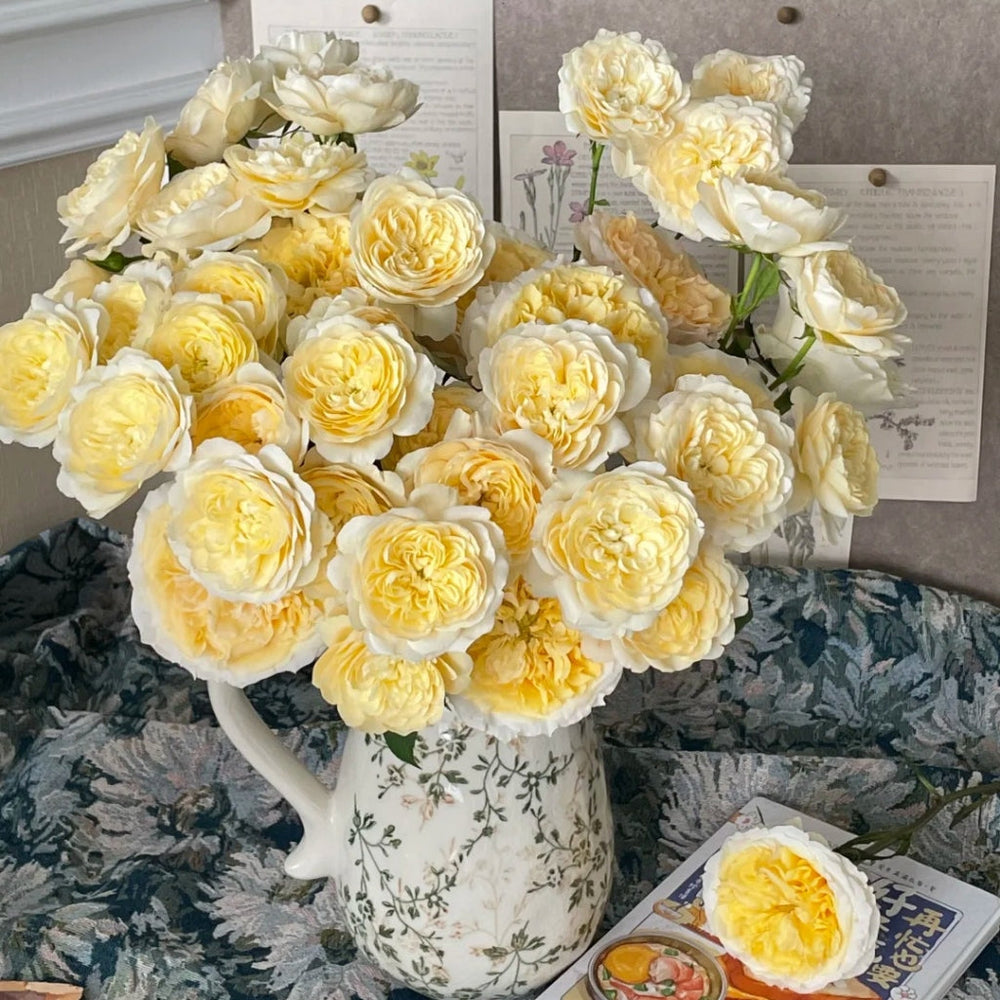 Beatrice Rose bouquet in white pitcher - vibrant yellow premium roses RosesPlant