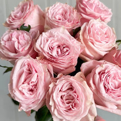 Bimba Rose
