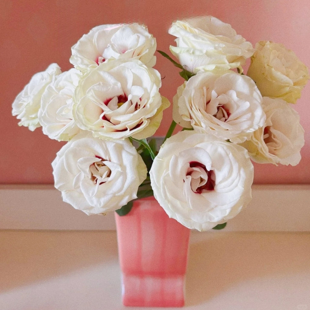 Brideside Rose