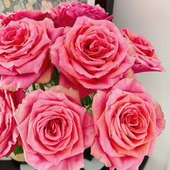 Bronze Perfume Rose
