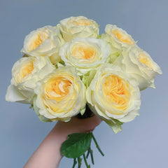 Butter Cup Rose