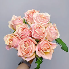 Cinderella Rose