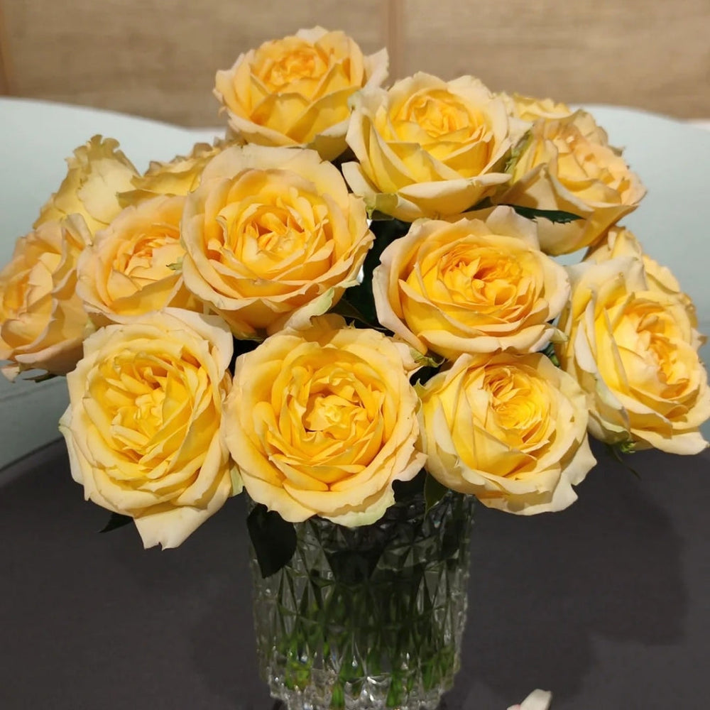 Cote d'or Rose