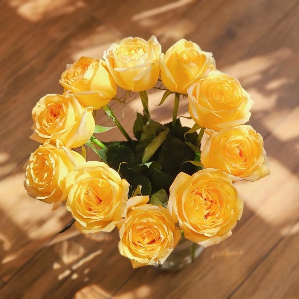 Cote d'or Rose