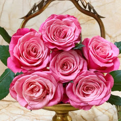 Cranberries Rose
