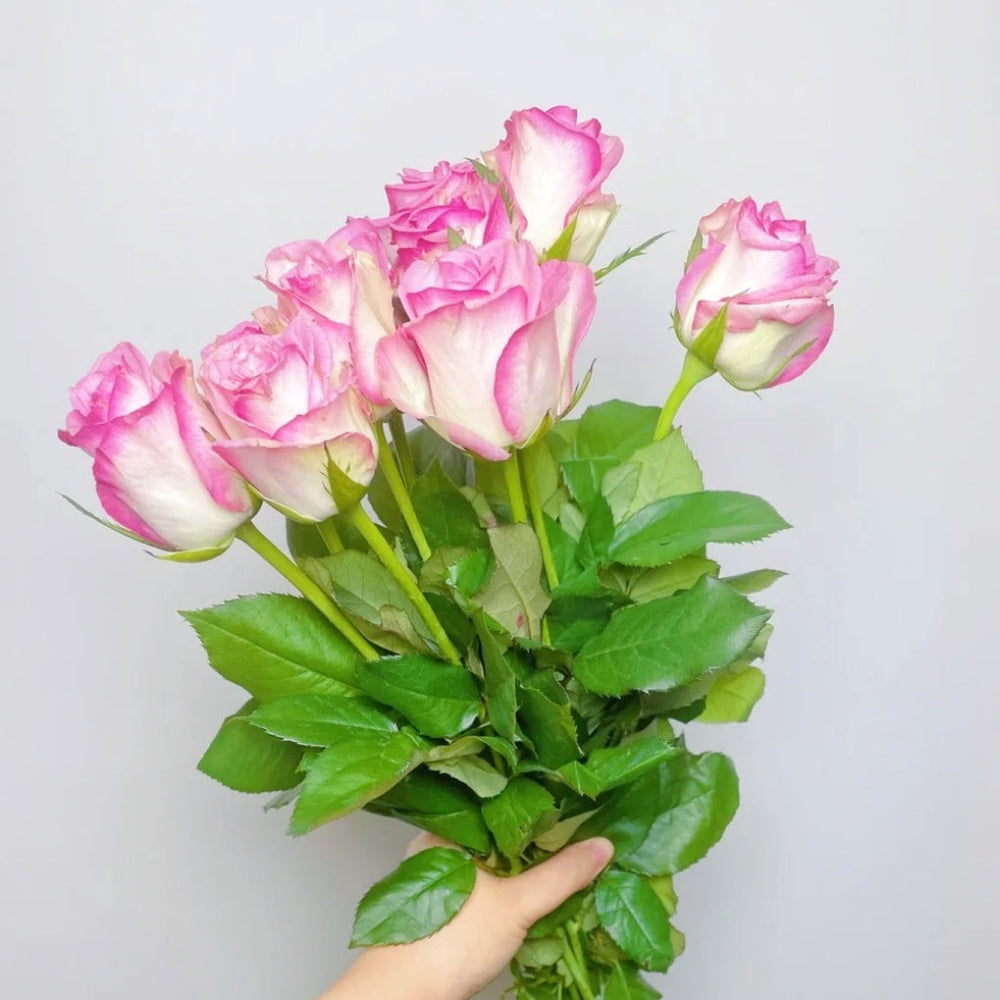 Decoration Rose