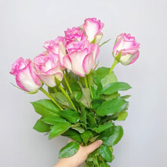 Decoration Rose