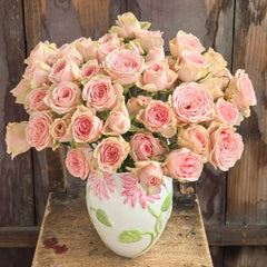 Flower Fairy Rose