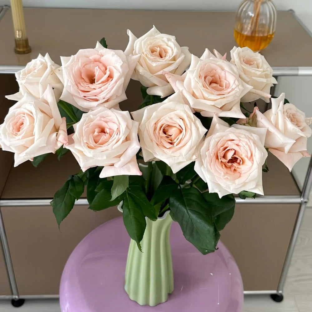 Fruit Aroma Rose