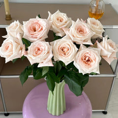Fruit Aroma Rose