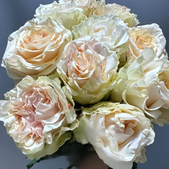 Ghobi Rose