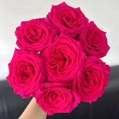 Good Vibes Rose