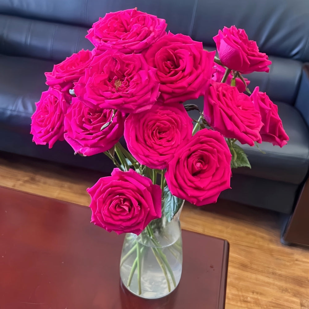 Good Vibes Rose