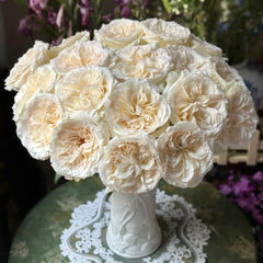 Halifax Rose