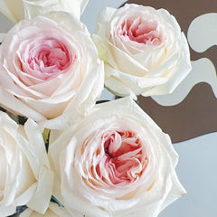 Hanxiang Rose