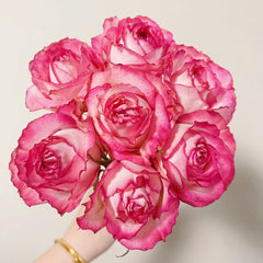 Ice Red Velvet Rose