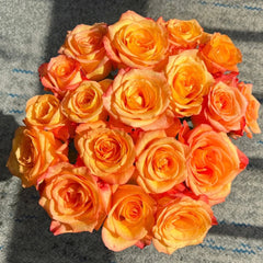 Jinhui Rose