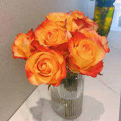 Jinhui Rose
