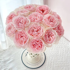 Kyouka Rose