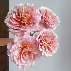 L'heure Magique Rose