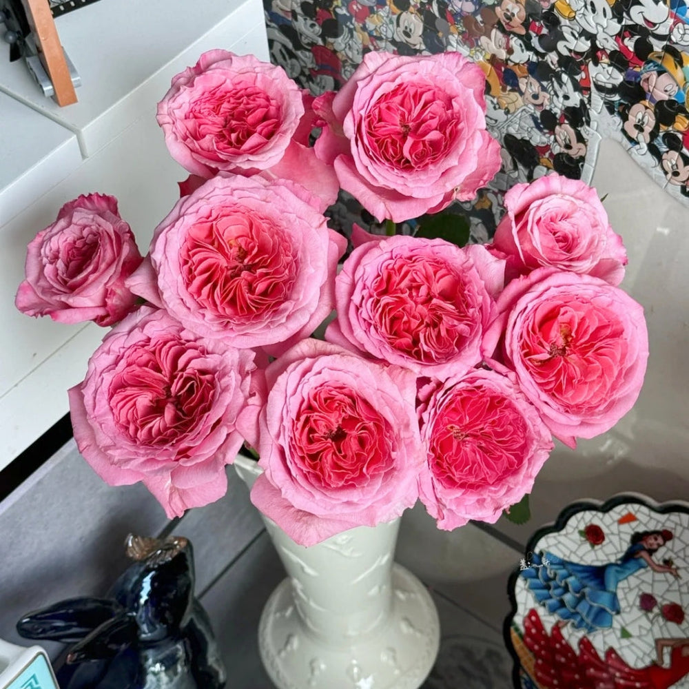 Laurent Cabrol Rose