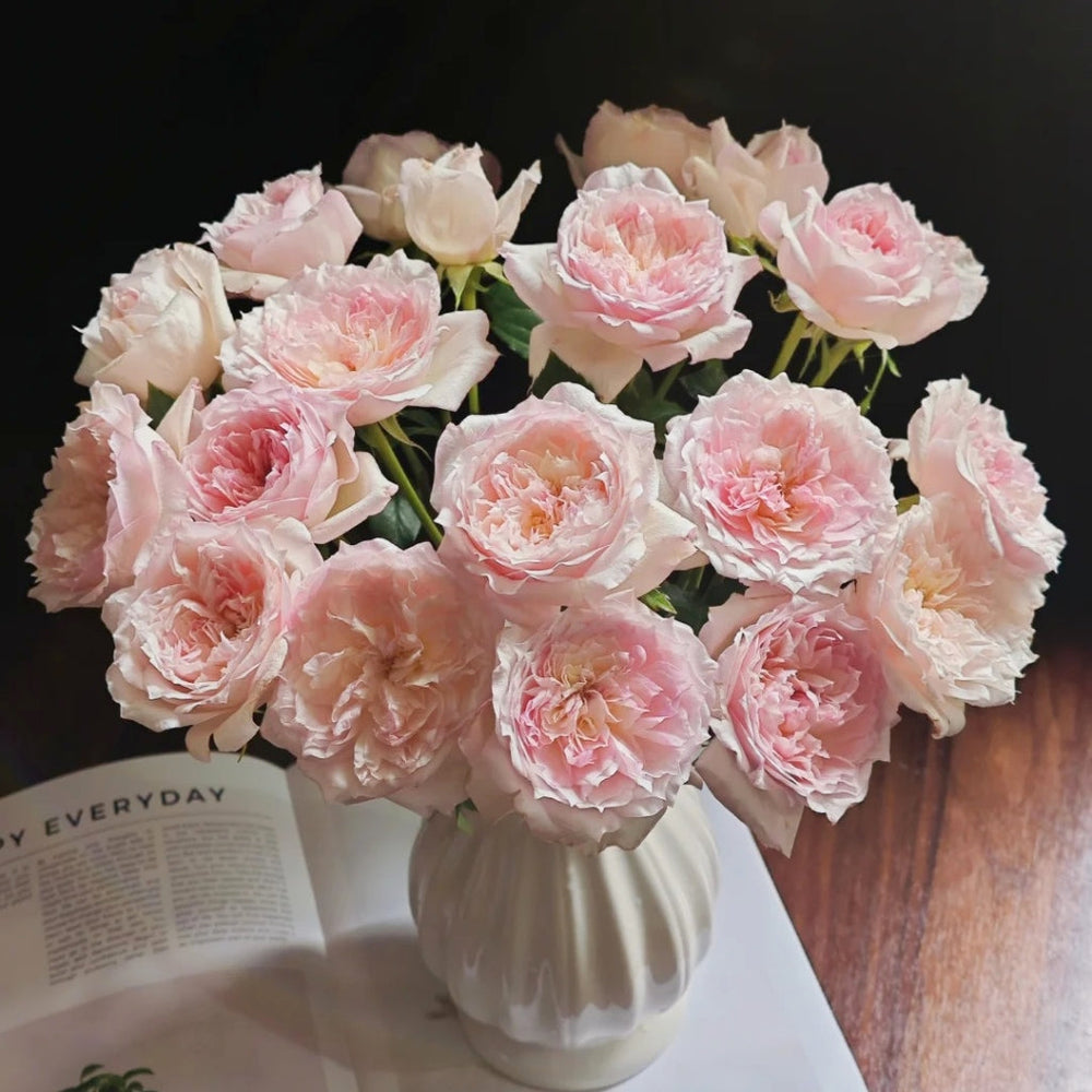 Le Rire Rose