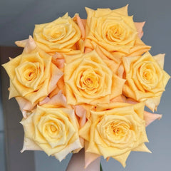 Lemon Milk Tea Rose