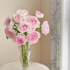 M-Perzik Rose