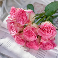 Malibu Rose