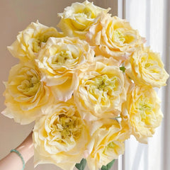 Mango Pomelo Sago Rose