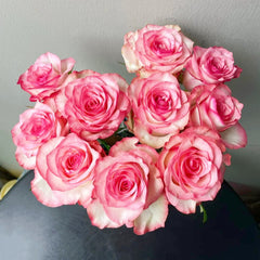Medusa Rose