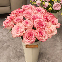 Medusa Rose