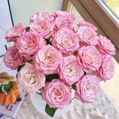 Medusa Rose