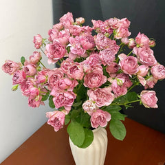 Nagi Rose