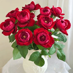 Peony Red Rose