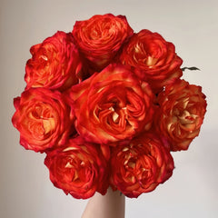 Phoenix Hairpin Rose