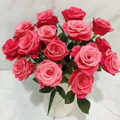 Pink Tacazzi Rose