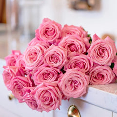 Pink Yan Rose
