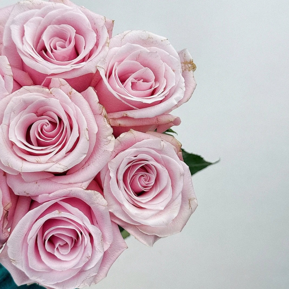Pinky Promise Rose