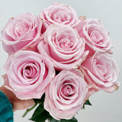 Pinky Promise Rose