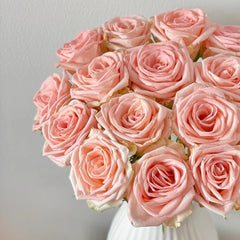 Plato Rose