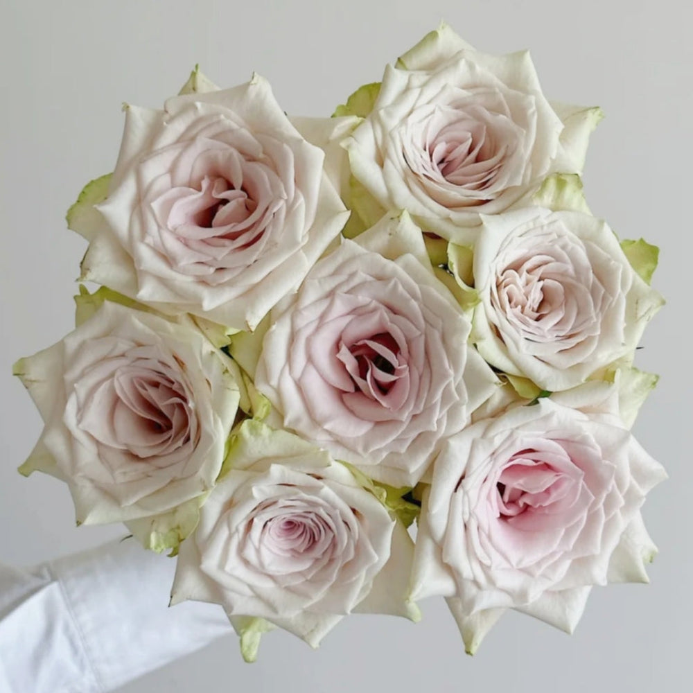Pomelo Rose