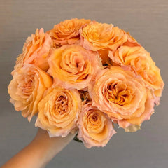 Poxiao Rose