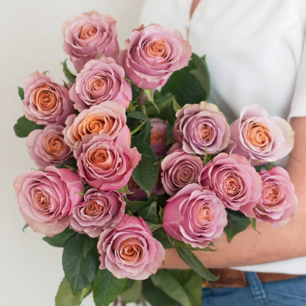 Purple Moon Rose