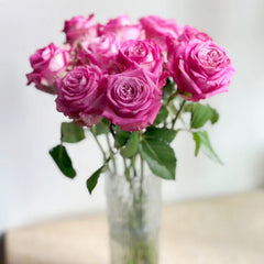 Queen's Crown Rose