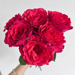 Red Chamber Rose