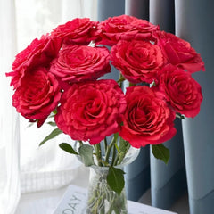Red Chamber Rose